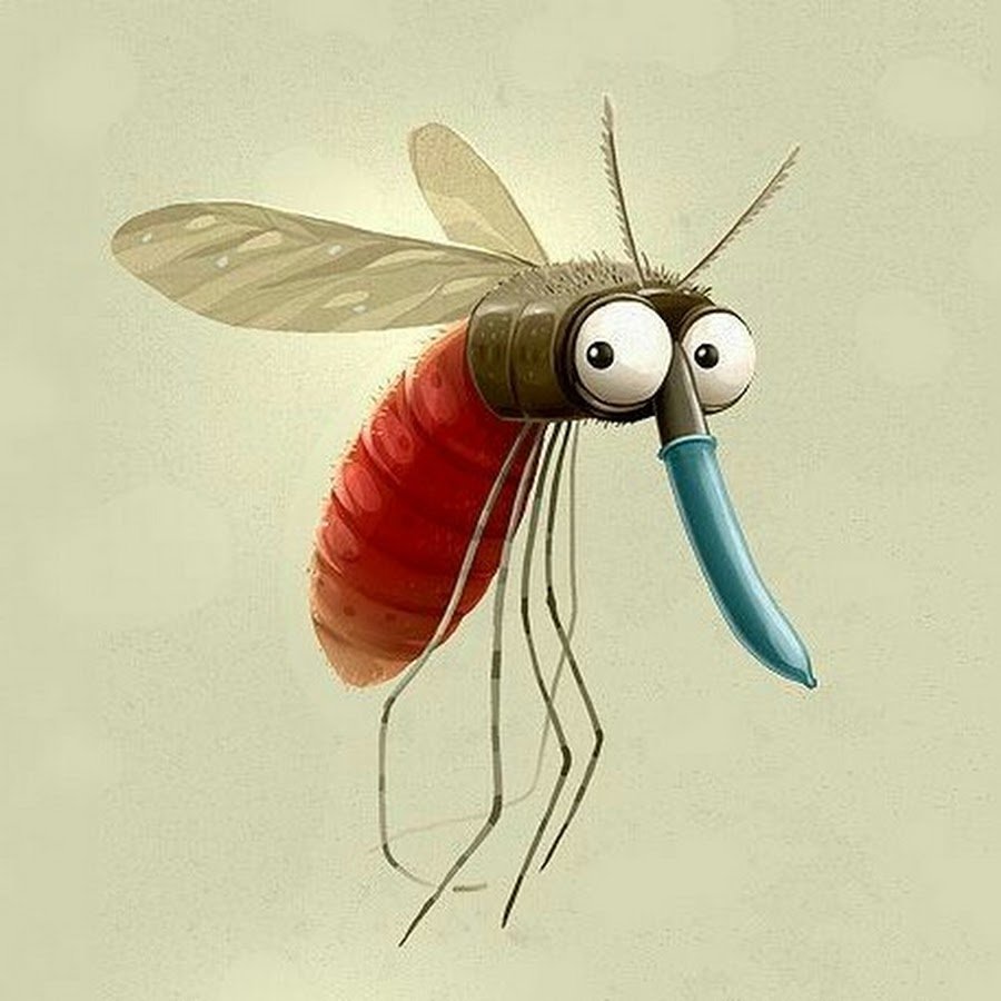 Брачный танец Богомолов