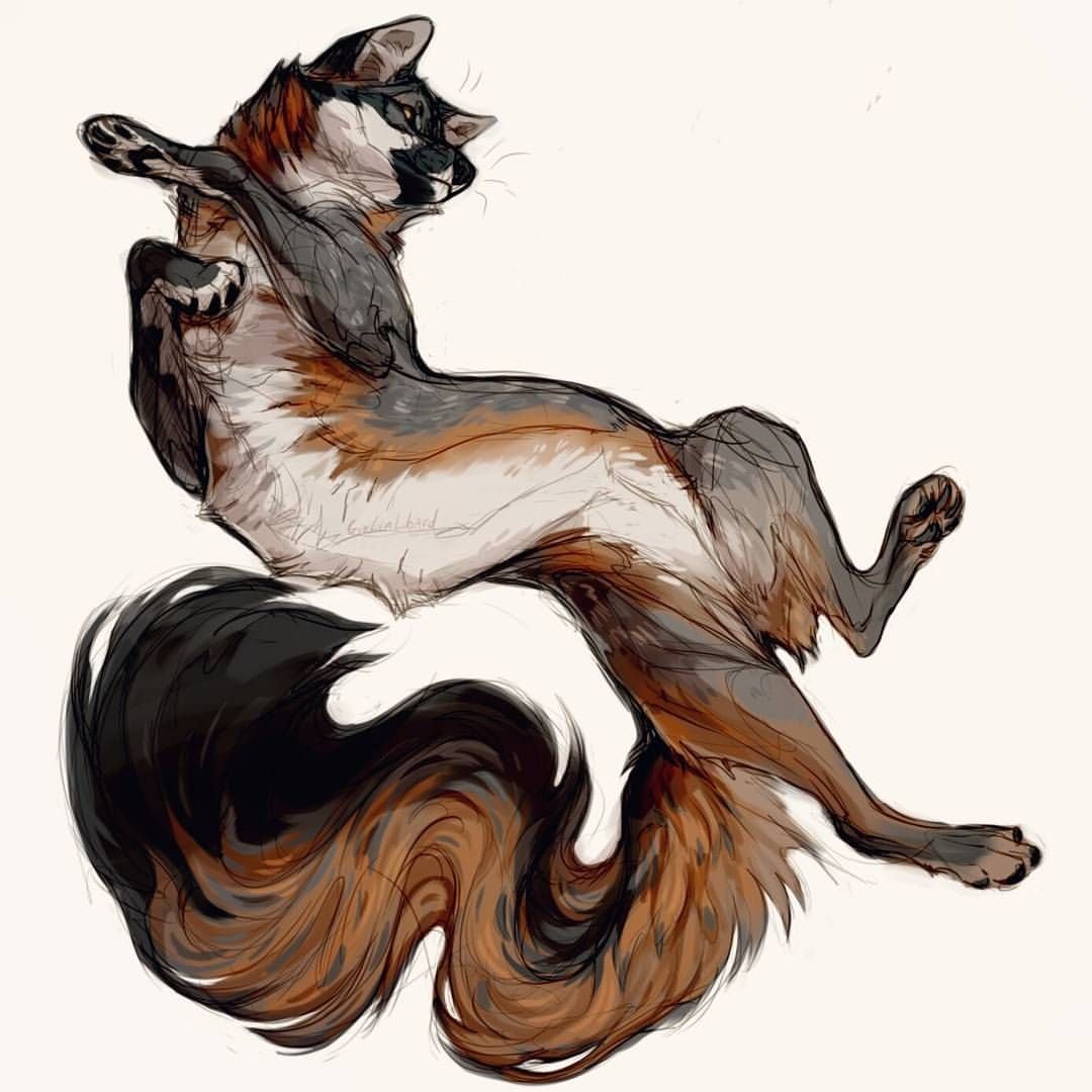 Giulialibard Рысь