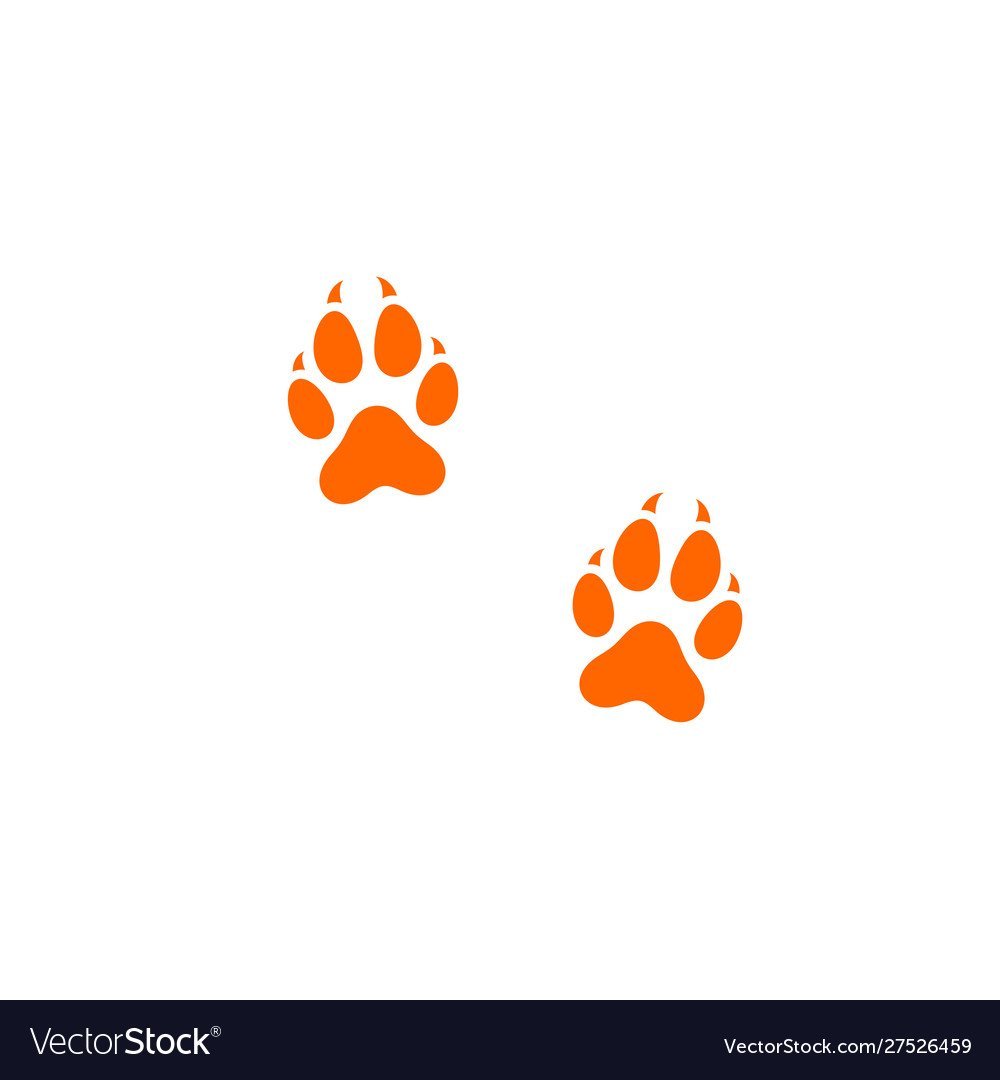 Лисья лапа отпечаток