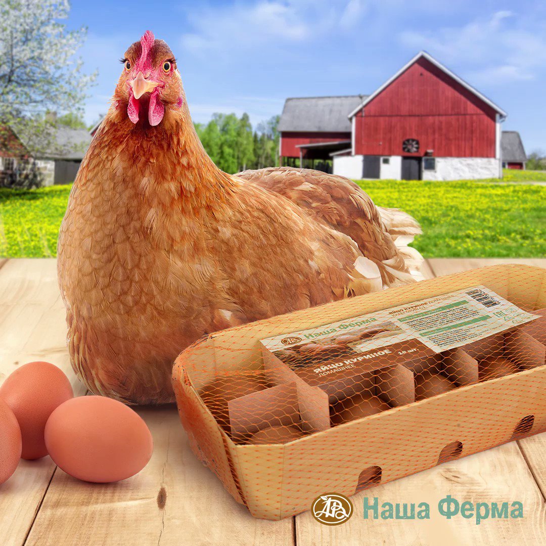 Огромная курица