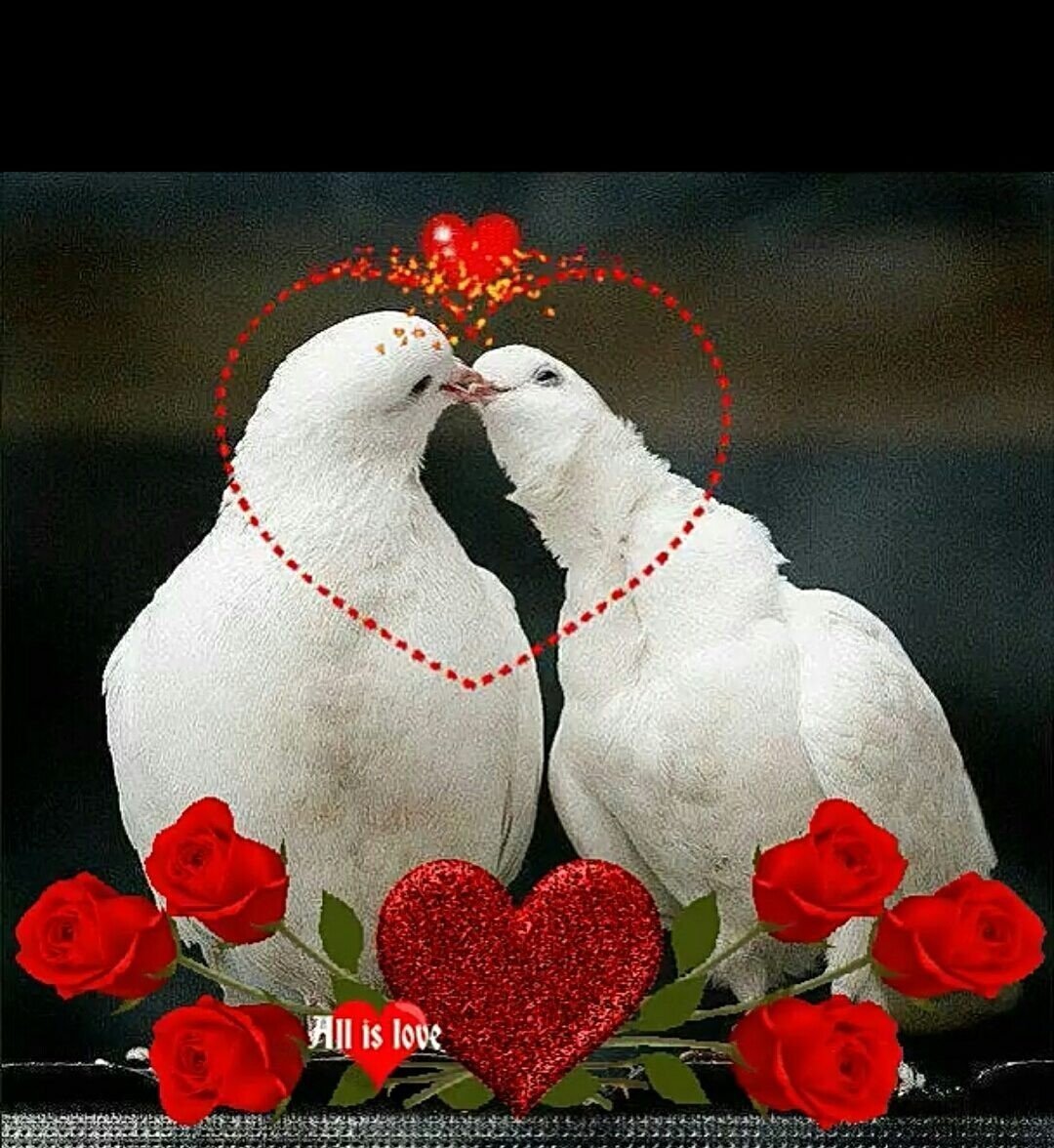 Картины Анны Лакисовой