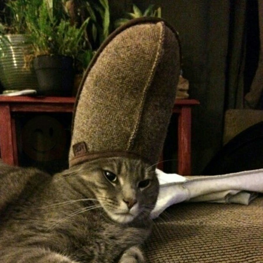 Кот папа Римский