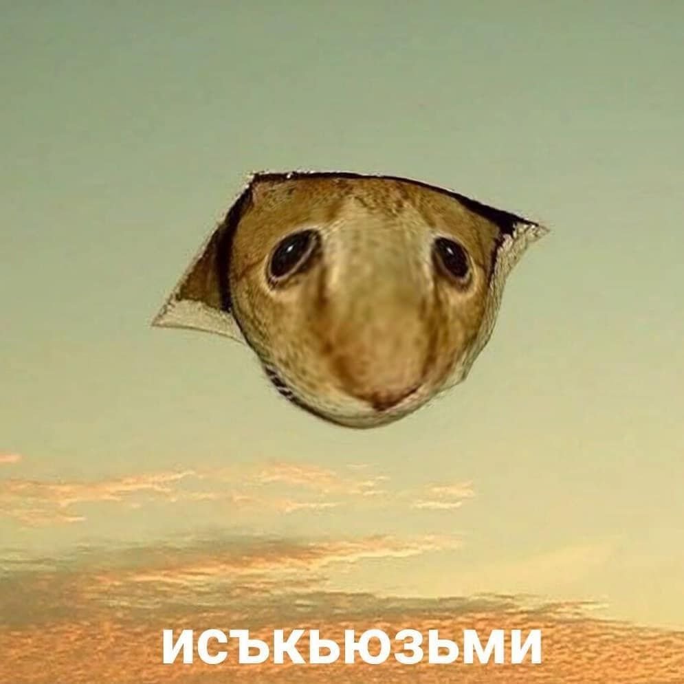Экскьюзми Мем