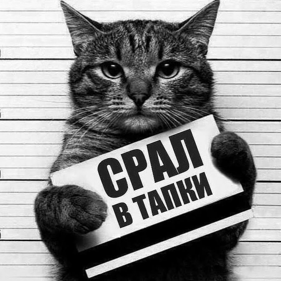 Гадил в тапки