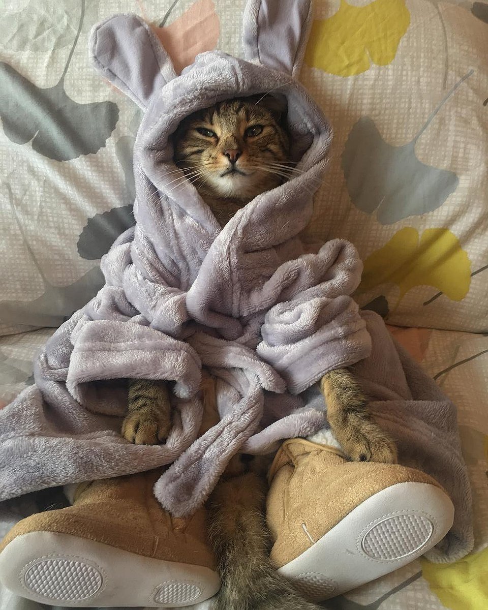 Котик в пижаме