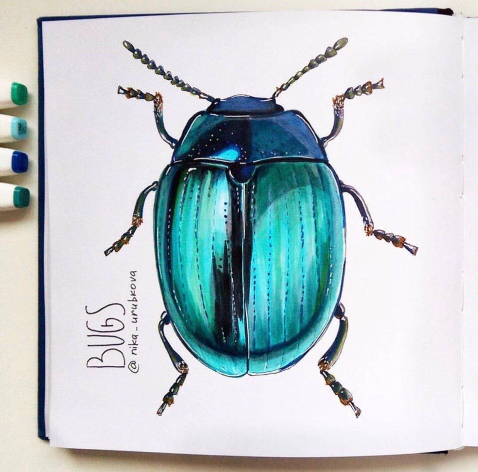 Майский Жук с ресничками