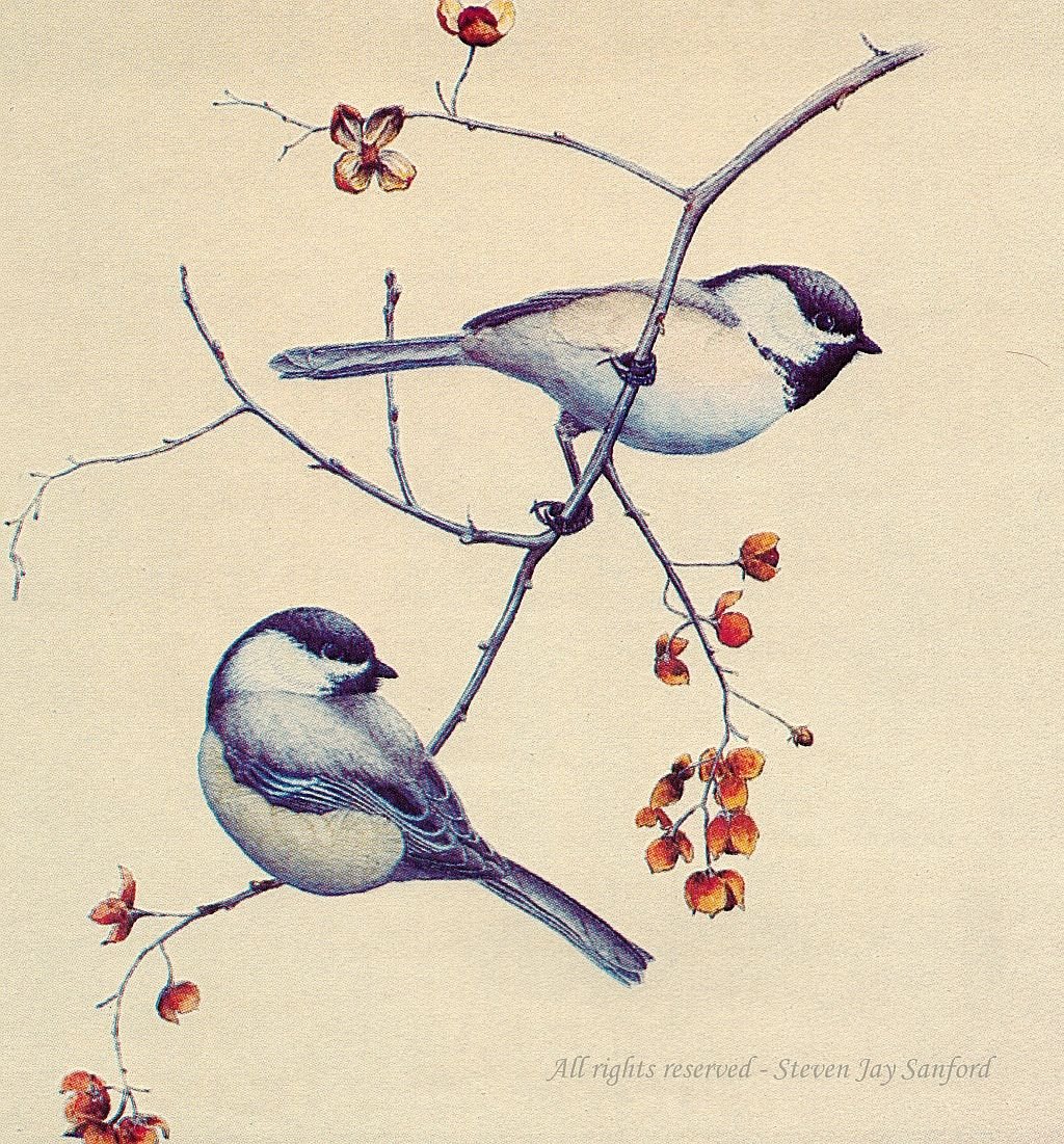 Синичка на веточке