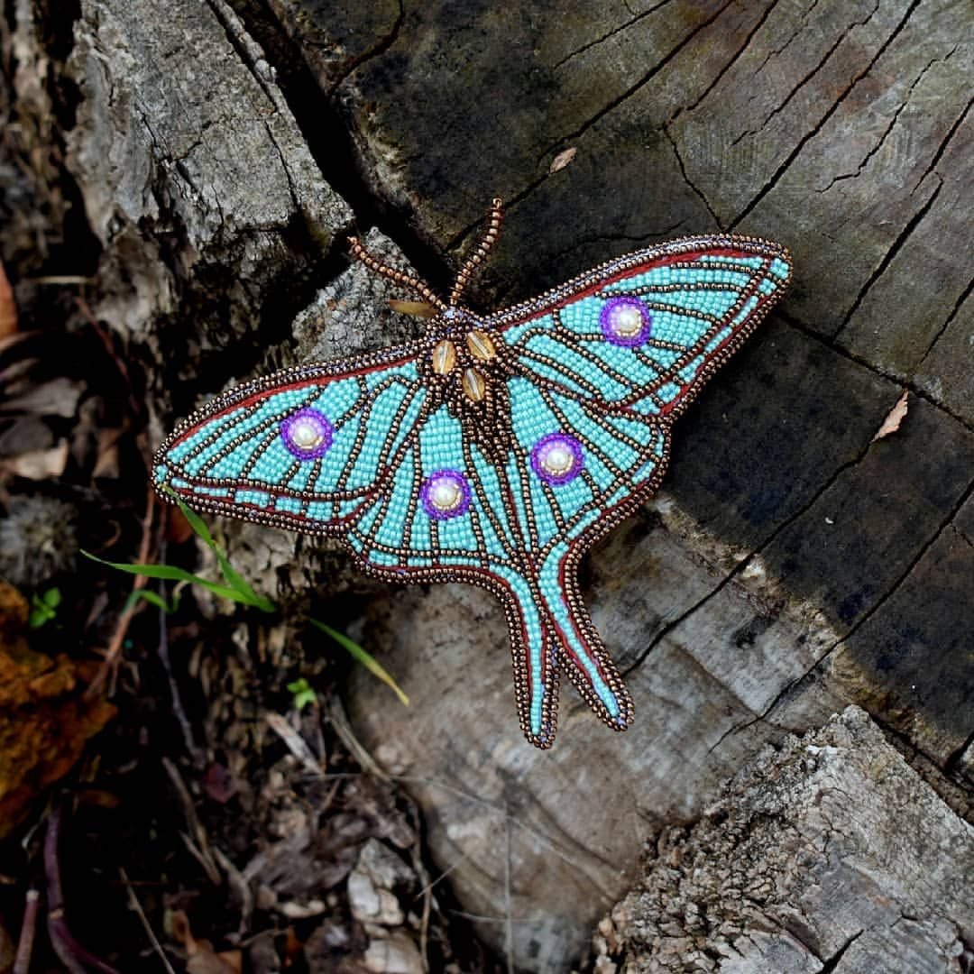 Лазурная бабочка