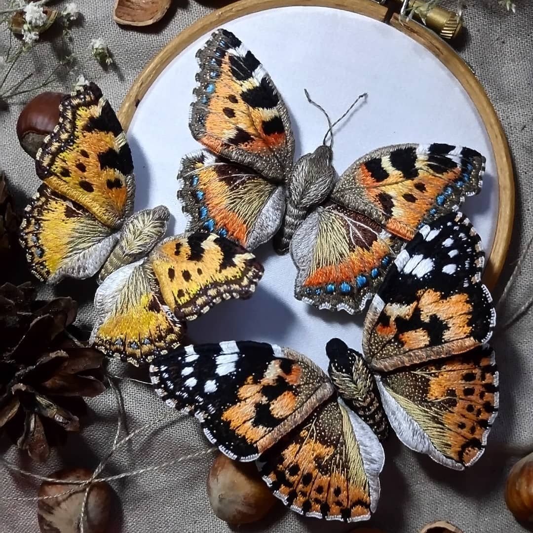 Махаон павлиний глаз