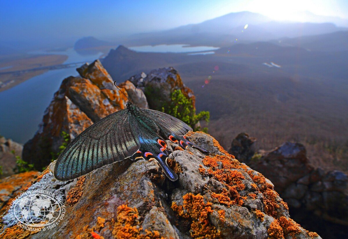 Фотограф Иван Науменко