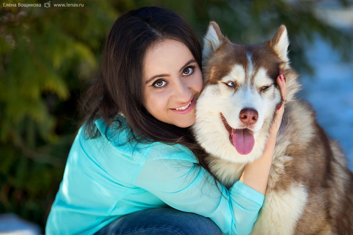 Красивая девушка с хаской