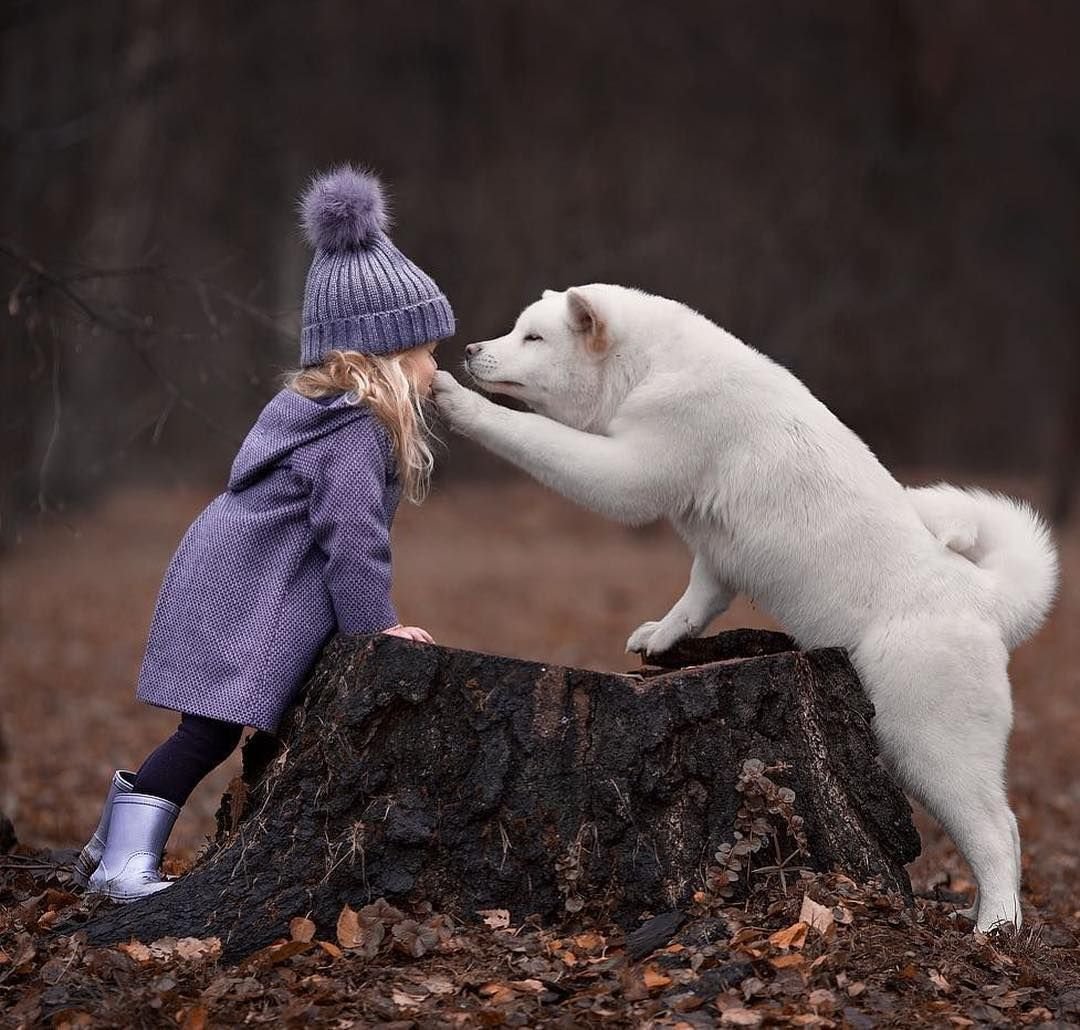 Объятия с животными