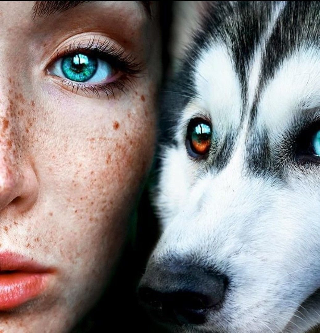 Юлика Йенкинс гетерохромия