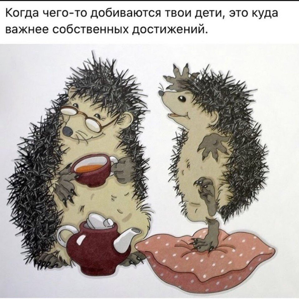 Живот ежика