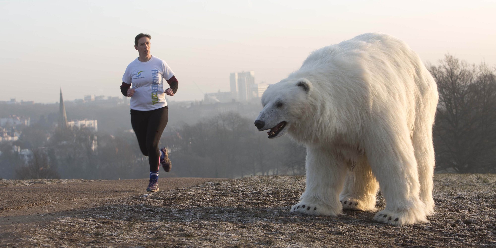 Белый медведь бег. Суперхищники Полярный медведь. Самый большой белый медведь. Белый медведь Размеры. Высота белого медведя.