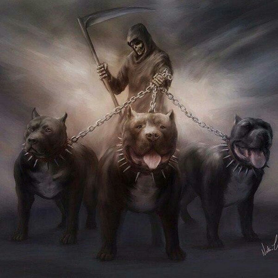 Волкодавы против Волков