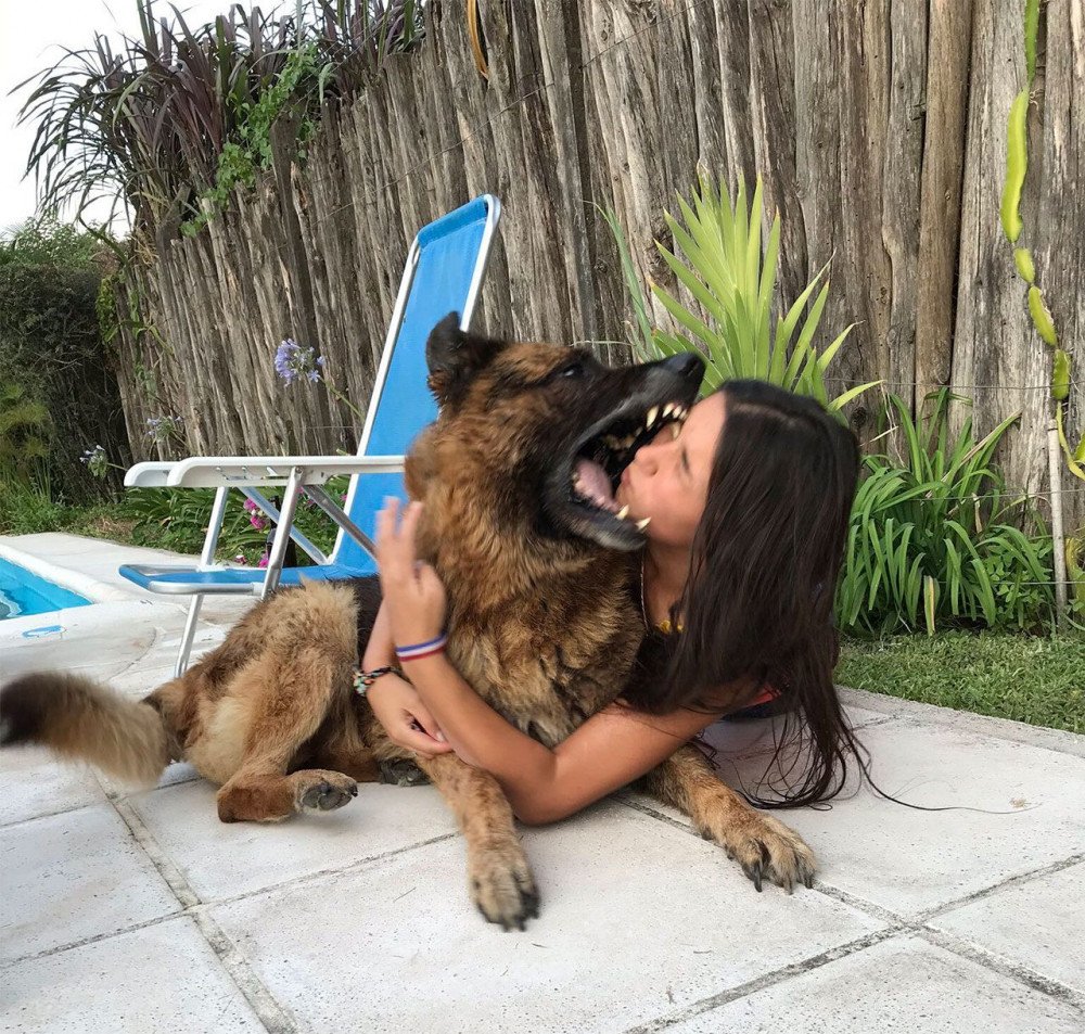 Харон и Цербер