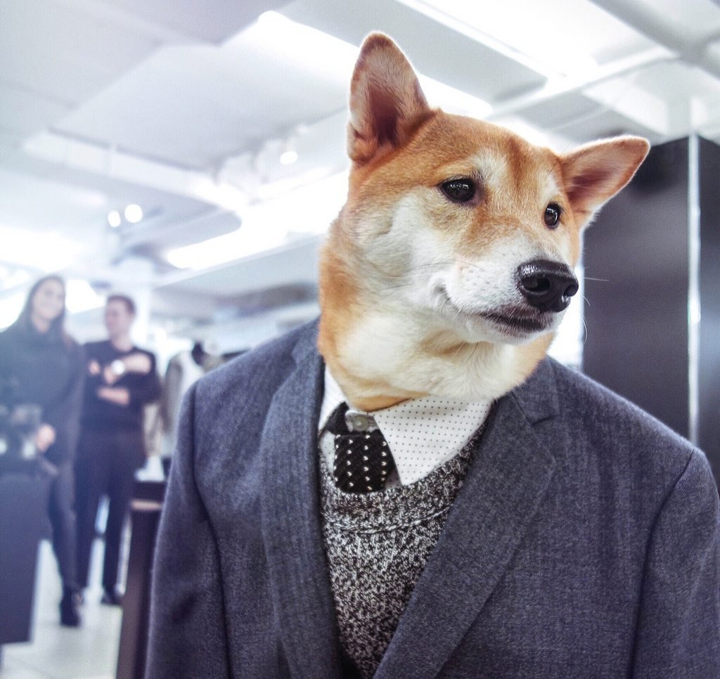 Мопс Джонни