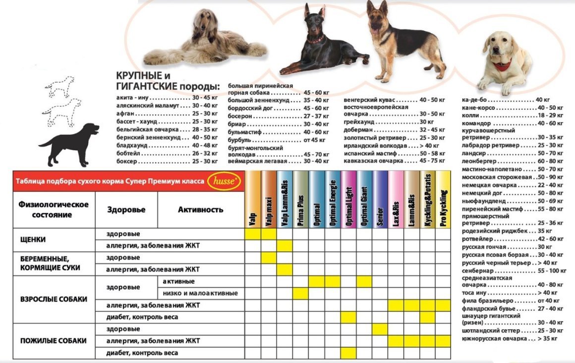 Овчарка на фоне природы