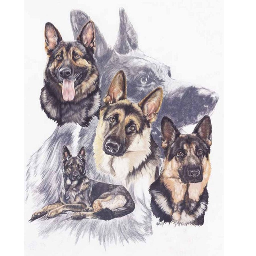 Щенки немецкой овчарки короткошерстные