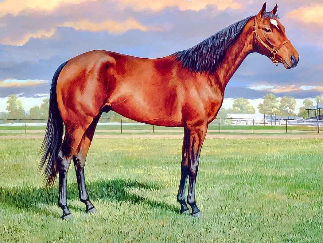 Лошадь вид с боку