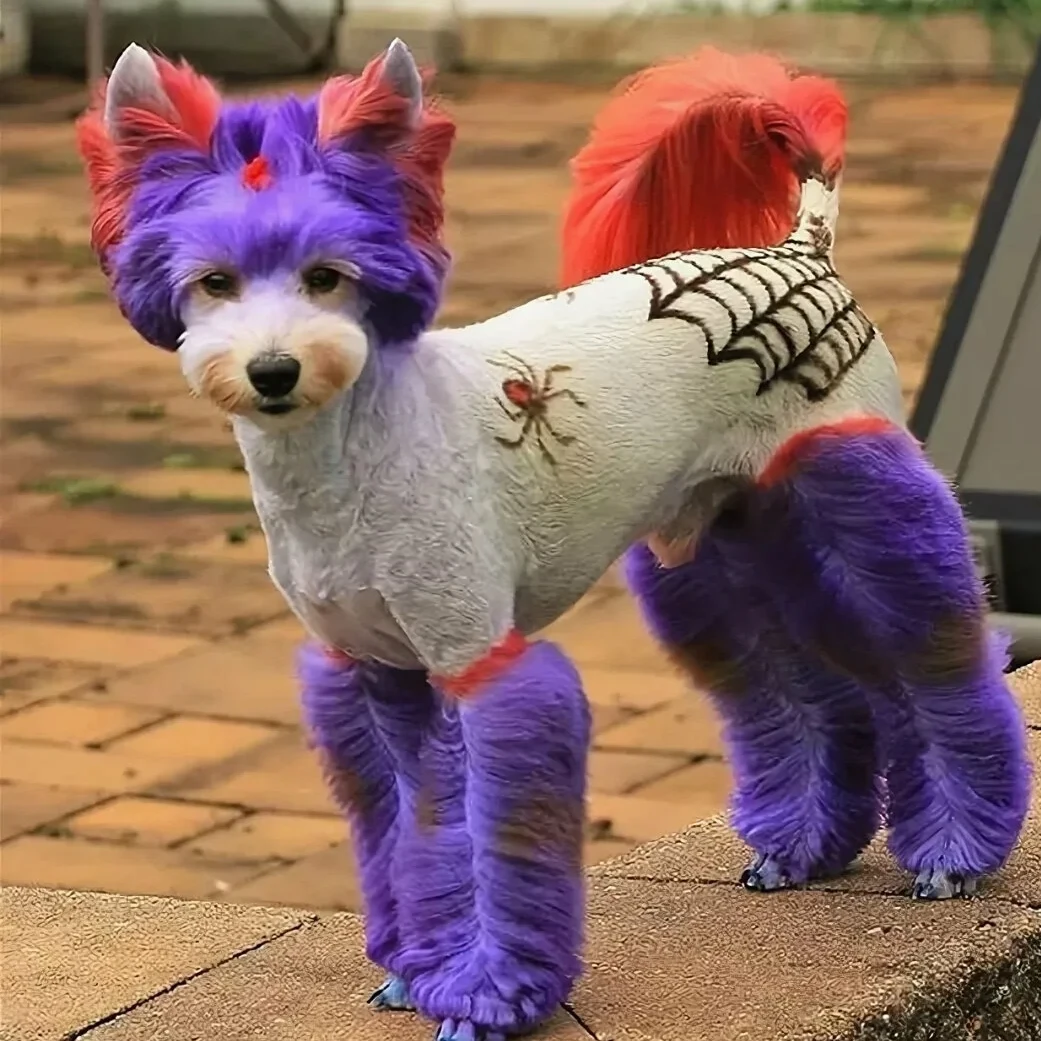 Оригинальная стрижка пуделя