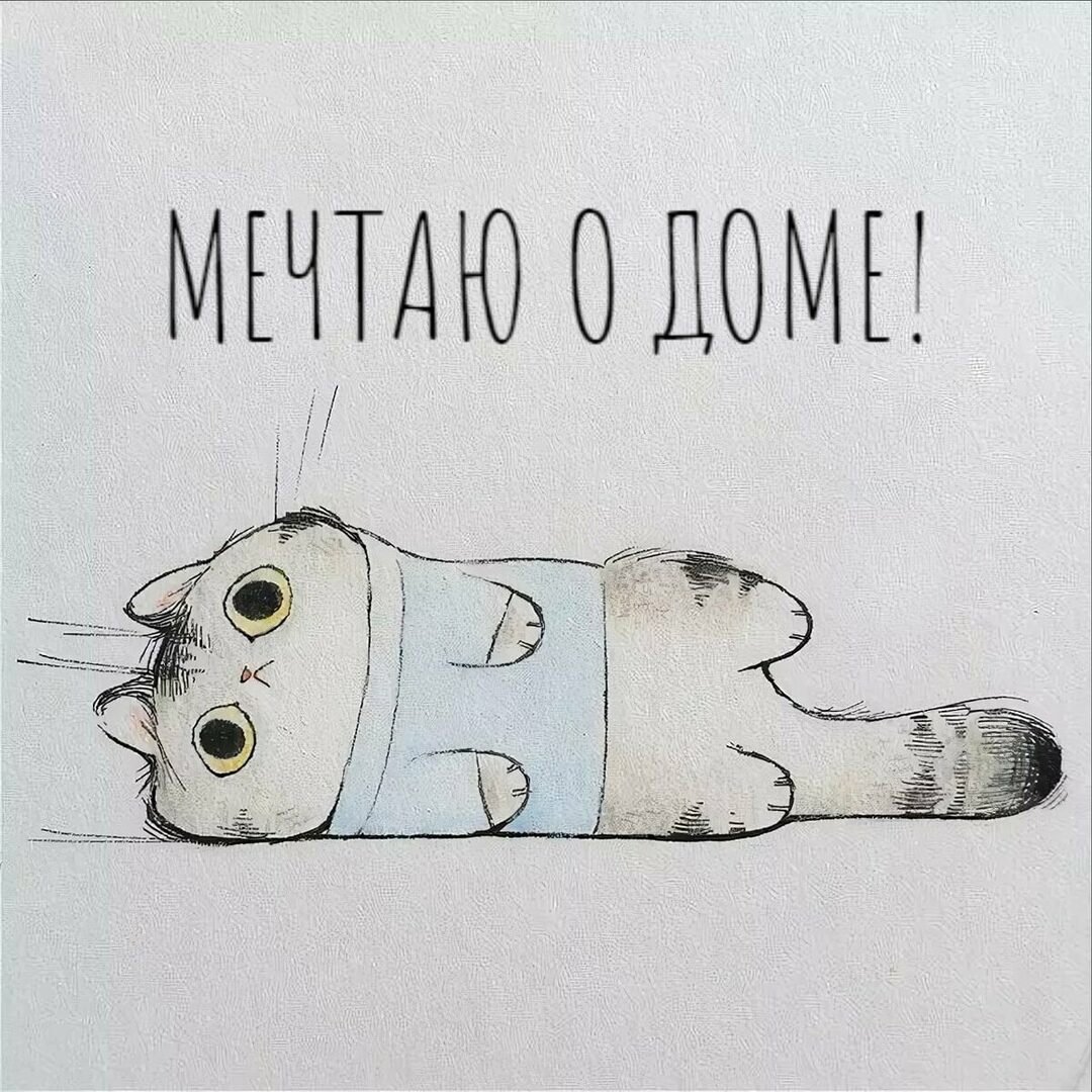 Рисунки для скетчбука лёгкие котики