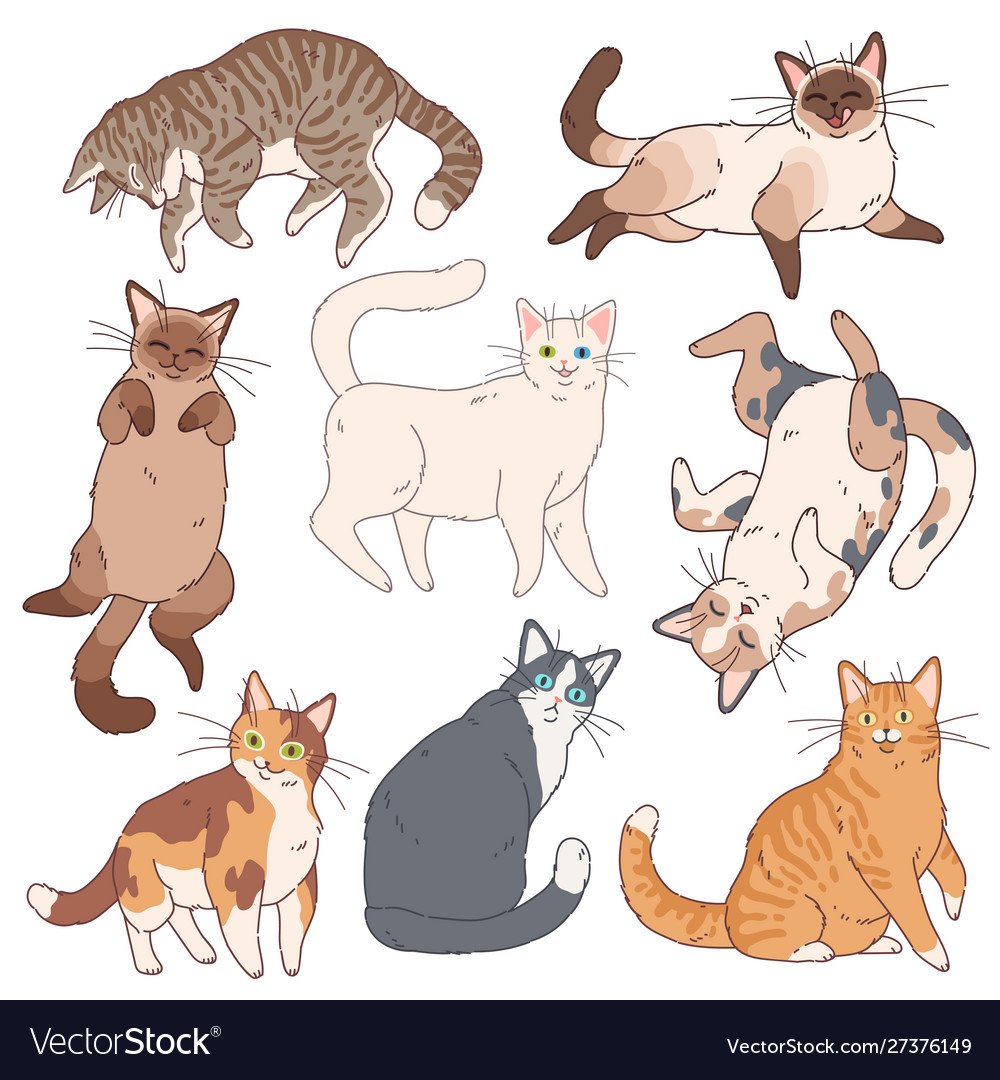 Котенок сет вектор