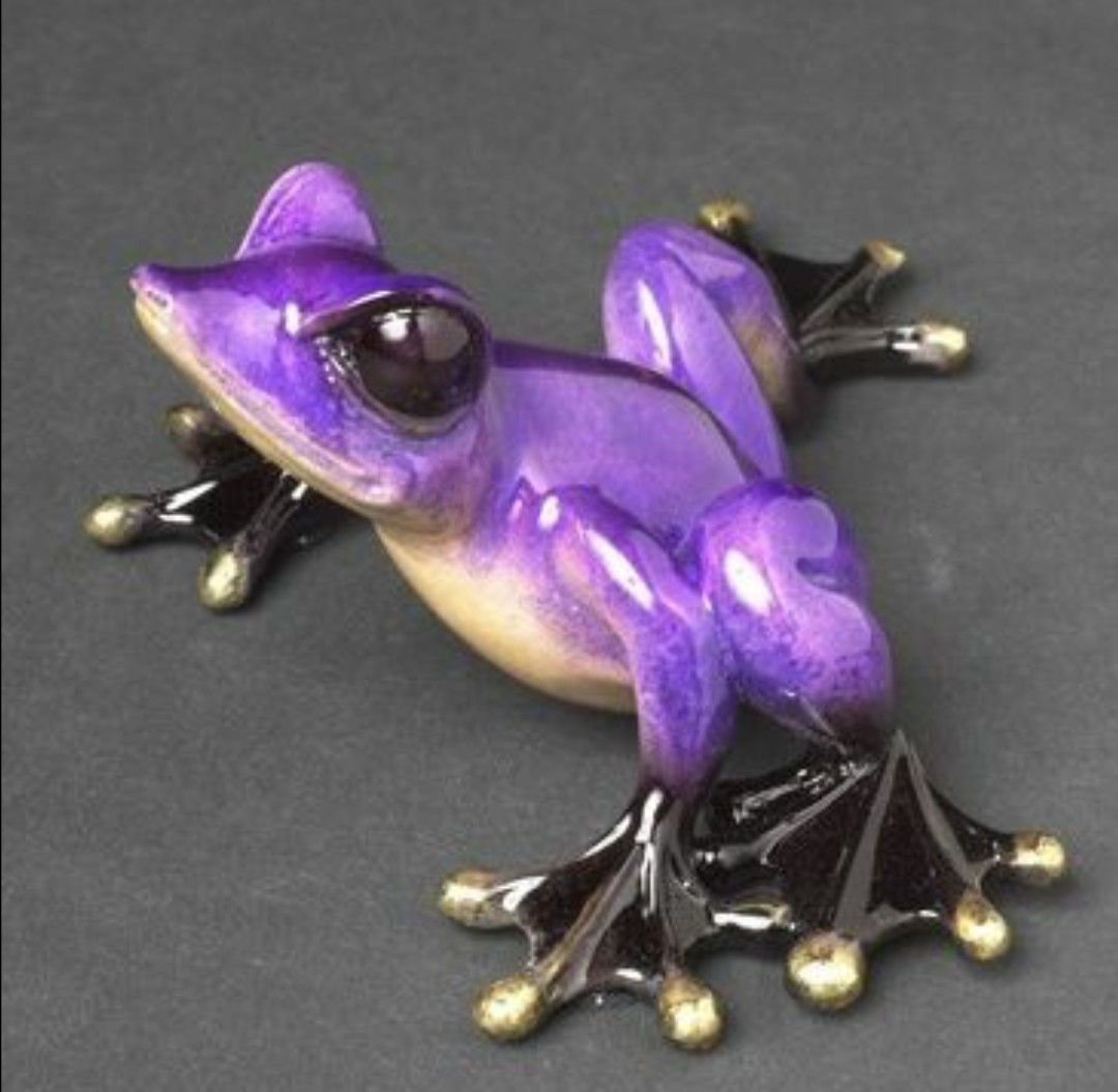 Фиолетовая лягушка. Лягушка древолаз фиолетовая. Пурпурная свиноносая лягушка. Лягушка Росвуздизайн. Лягушка Арлекин фиолетовая.