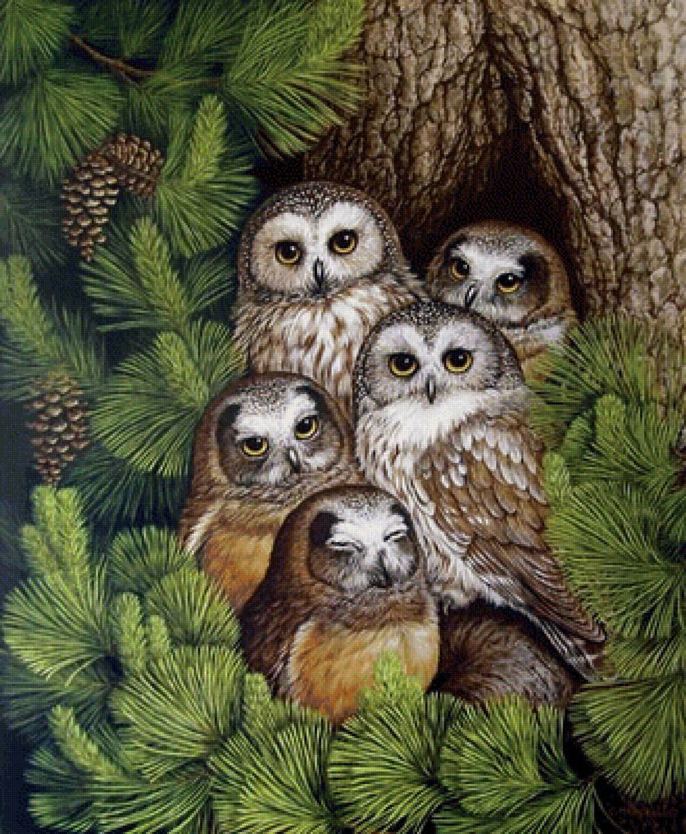 Картина Совиная семья