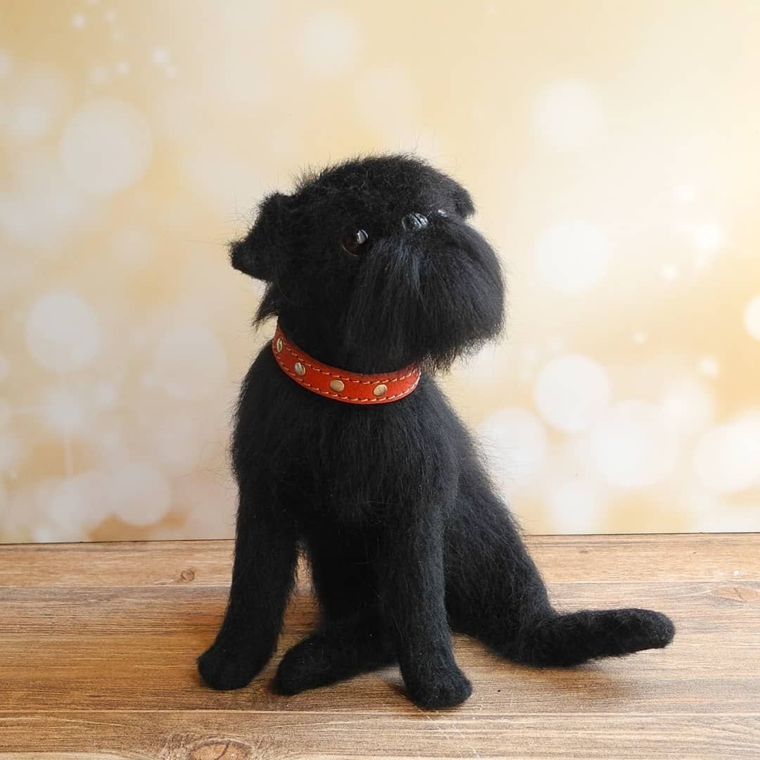 Зимний гриффон собака