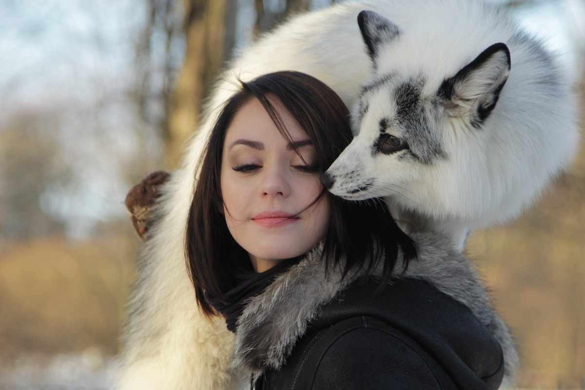 Мраморные лисы