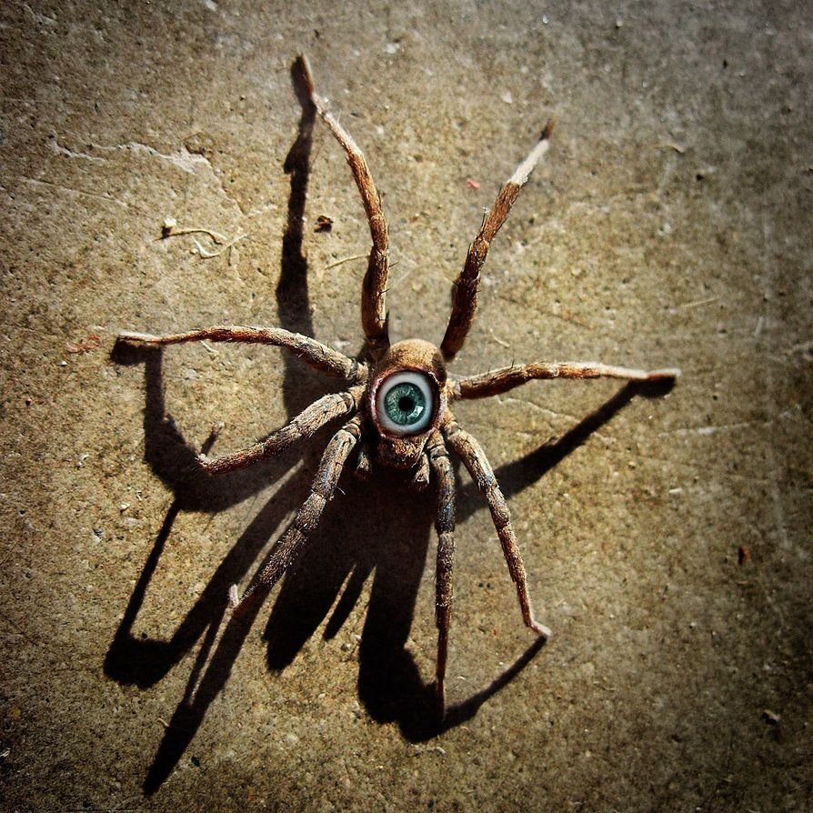 Курсед паук