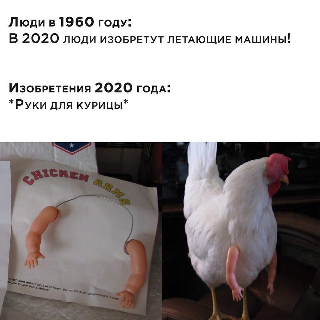 Мемы с курицей