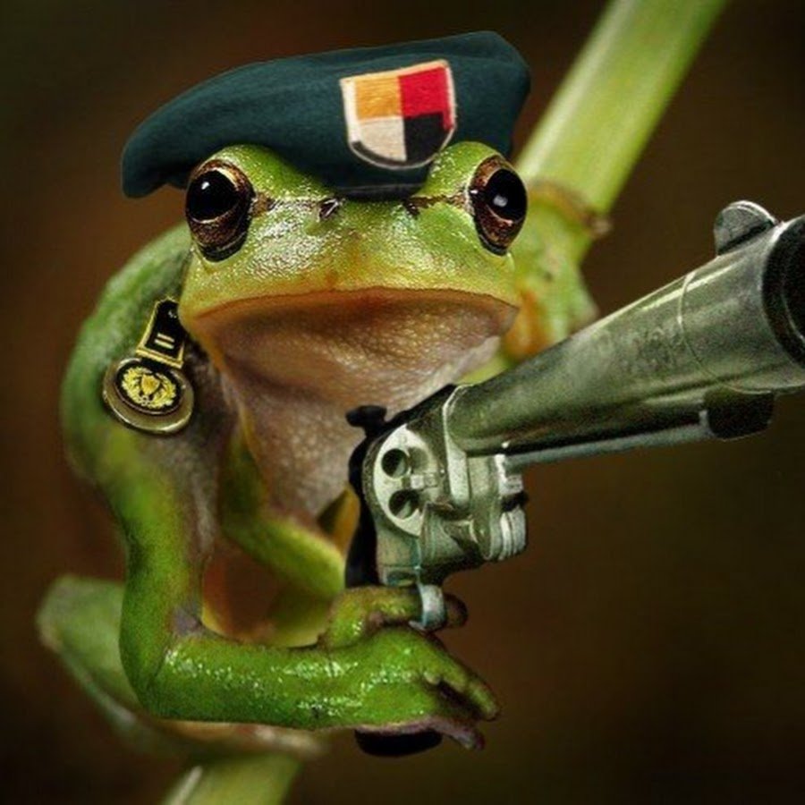 Жаба с пистолетом