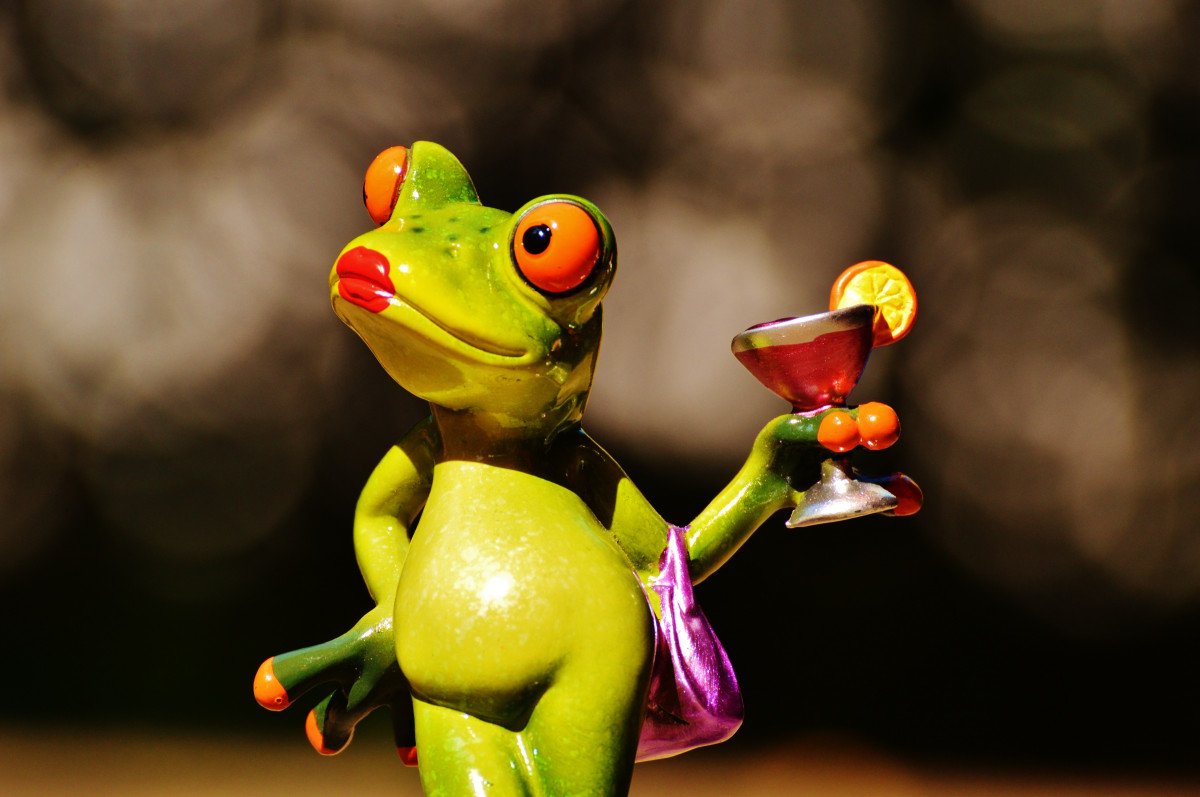 Лягушка танцует