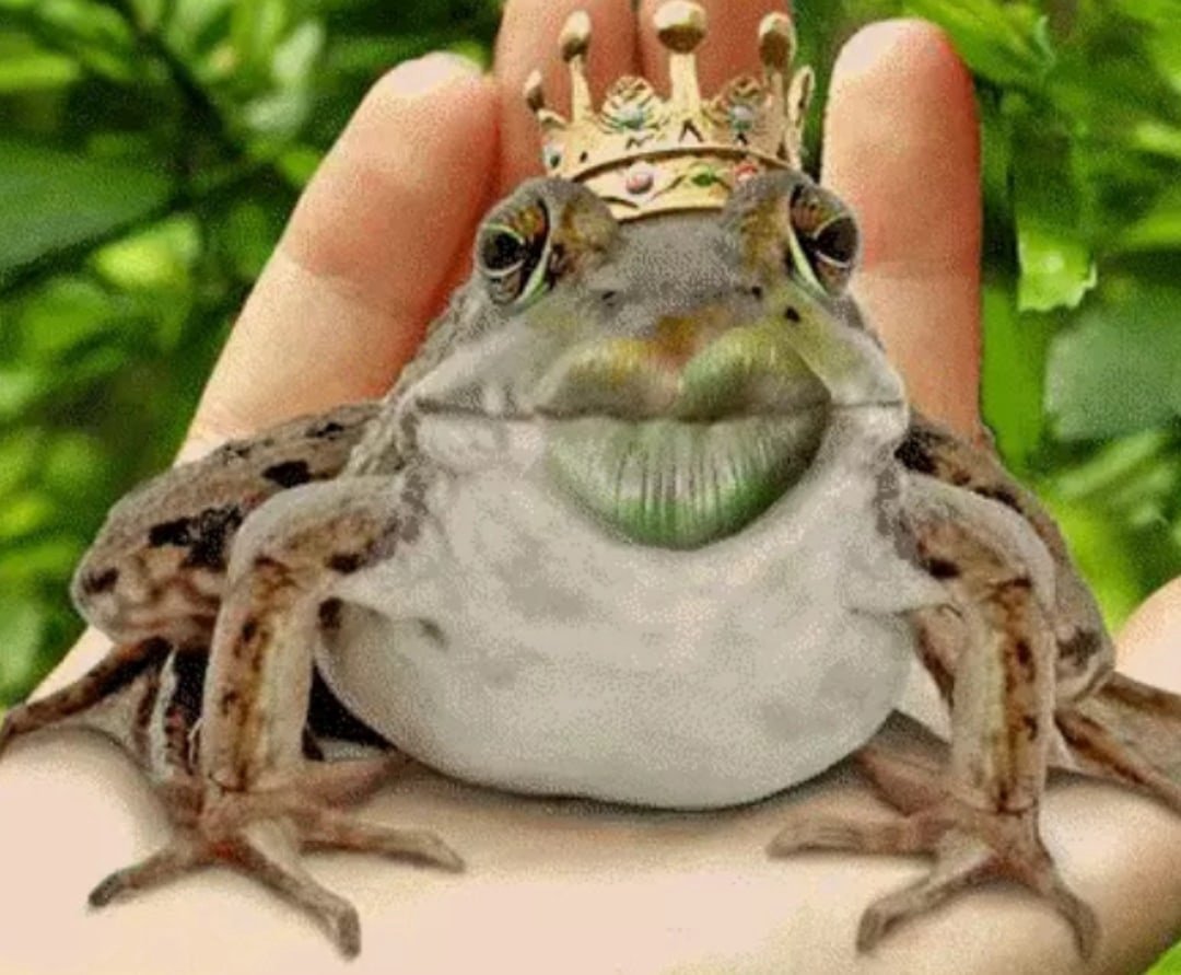 Смешные лягушки