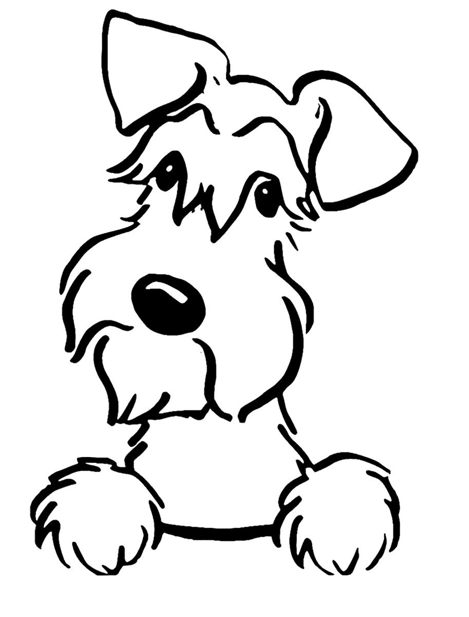 Цвергшнауцер вектор