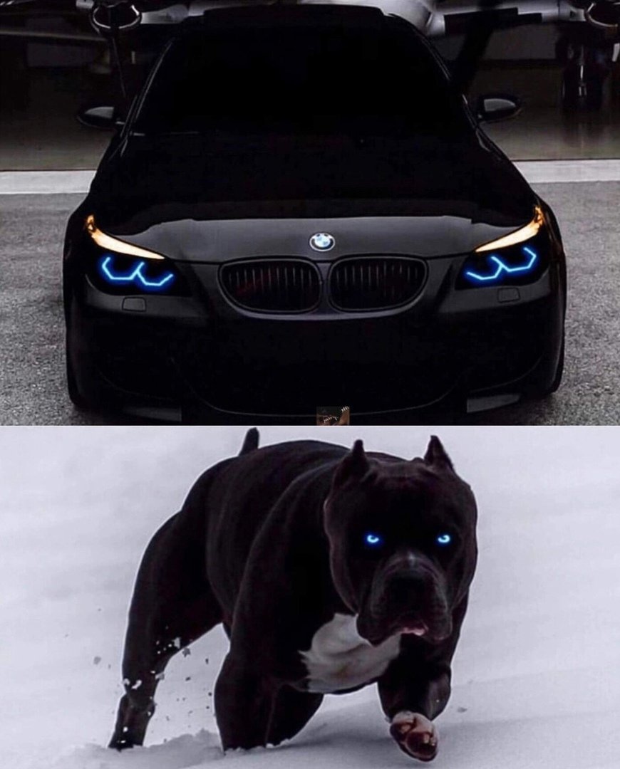 БМВ м5 пантера