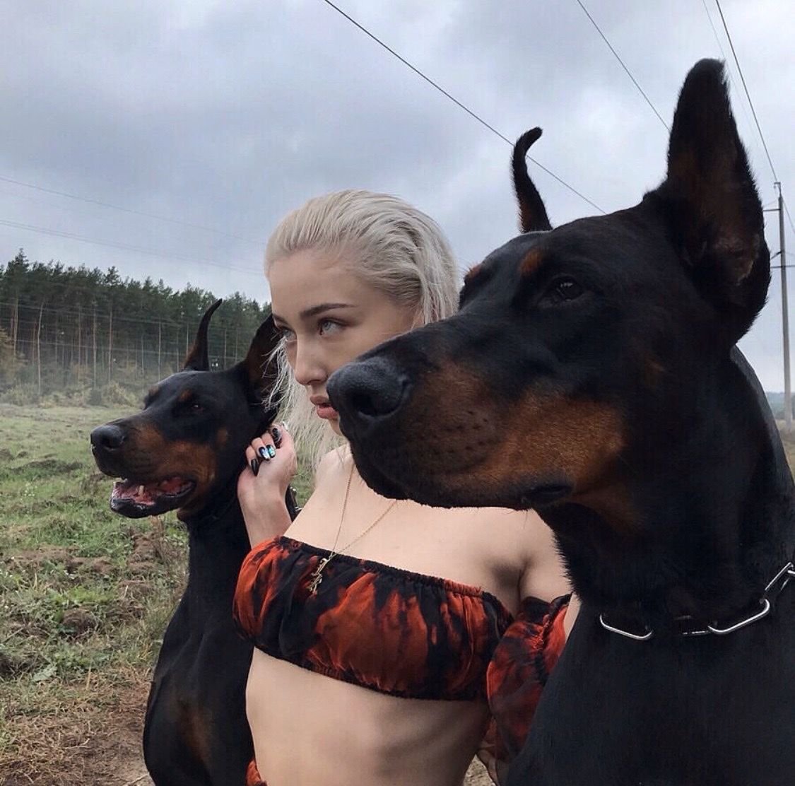 Девушка с доберманом сохры