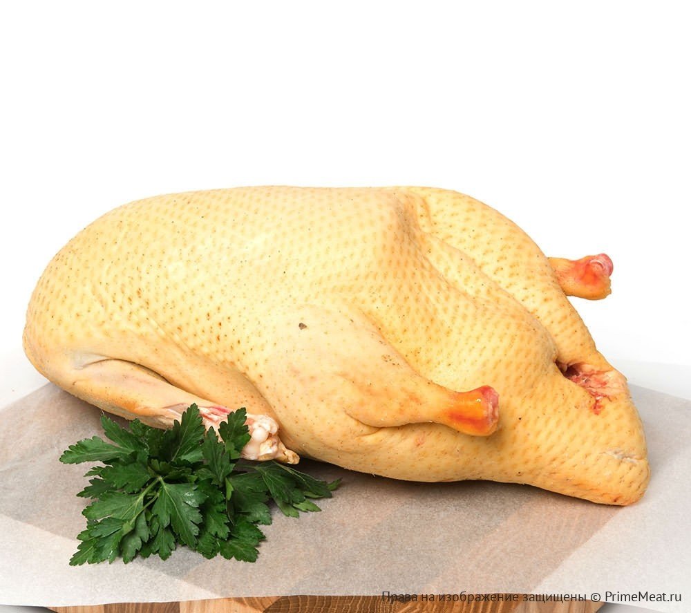 Порода уток черри Велли