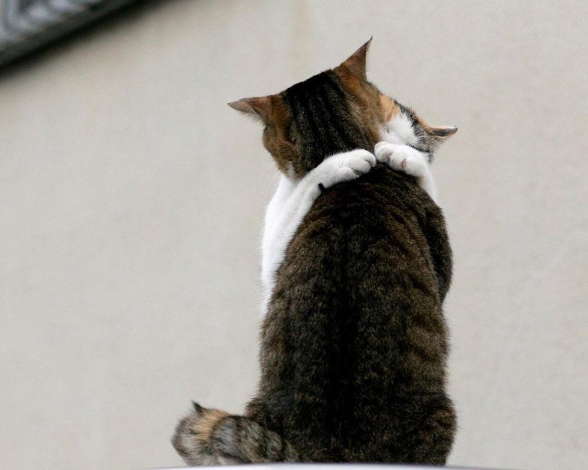 Я буду скучать