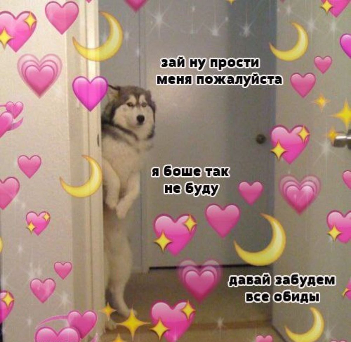 Пикчи с извинениями