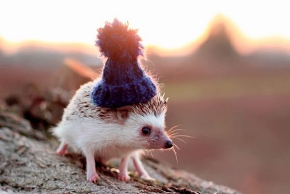 Шапка 'Ёжик'