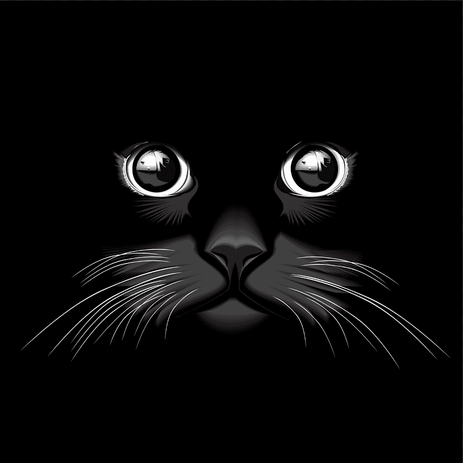 Чёрный кот 4k