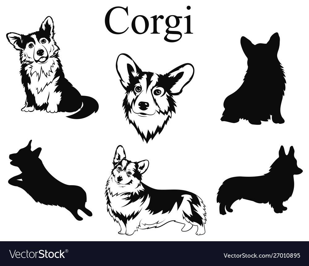 Корги силуэт