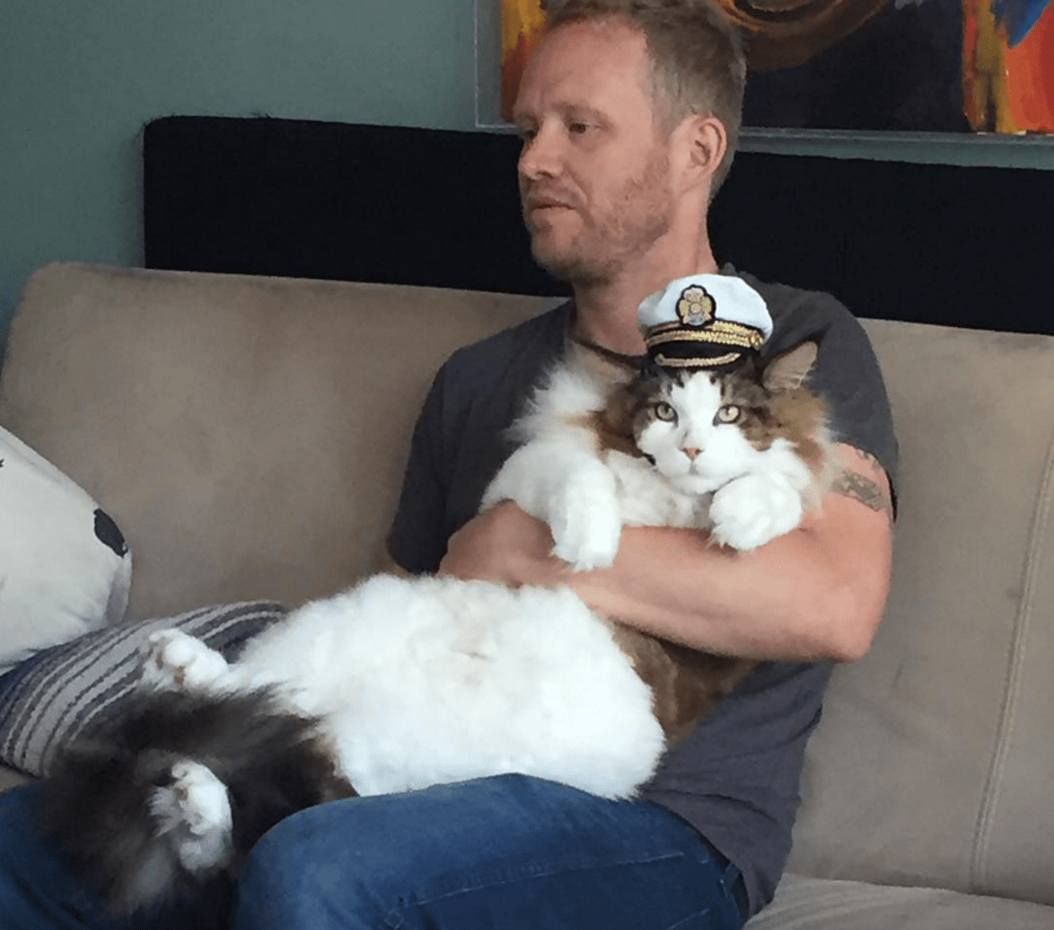 Light Brown Striped Cat