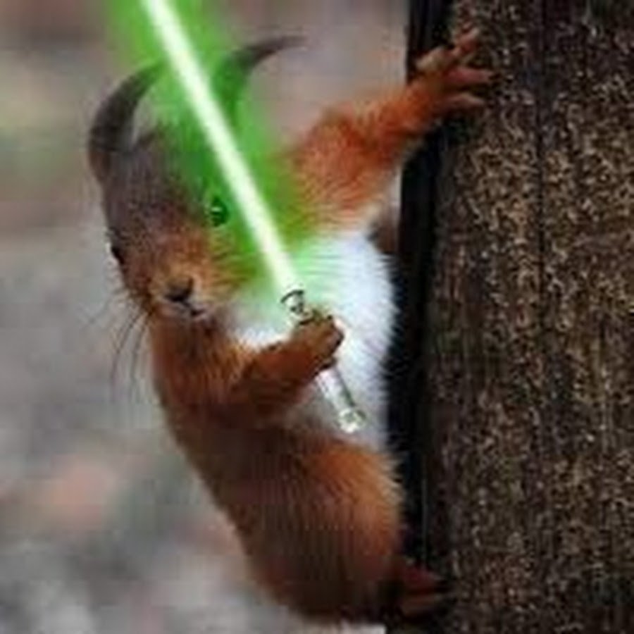 Белочка убийца