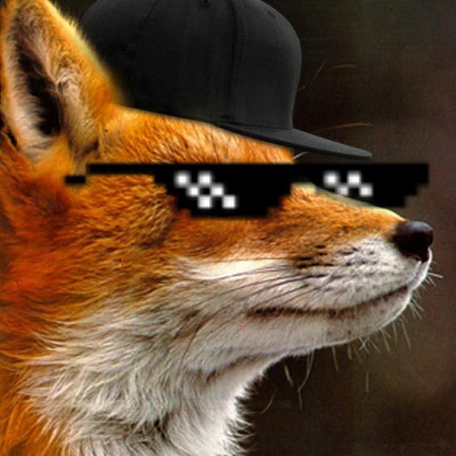 Фото лисы на аву в СТЕНДОФФ 2 1024×576