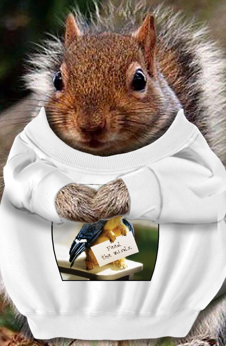 Белка и свисток